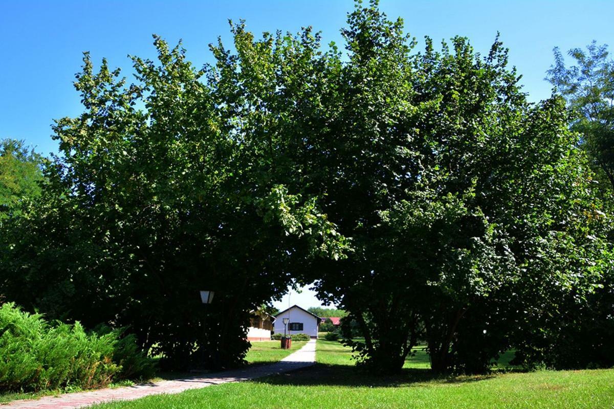 Sipito Pihenopark Hotell Pilis Exteriör bild