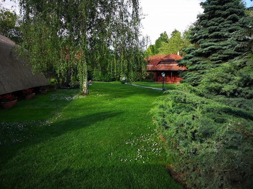 Sipito Pihenopark Hotell Pilis Exteriör bild
